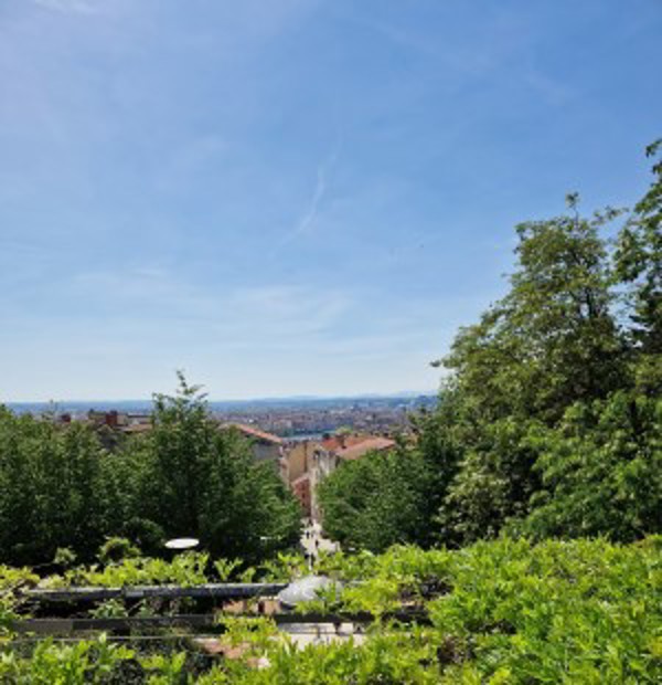 view of Lyon